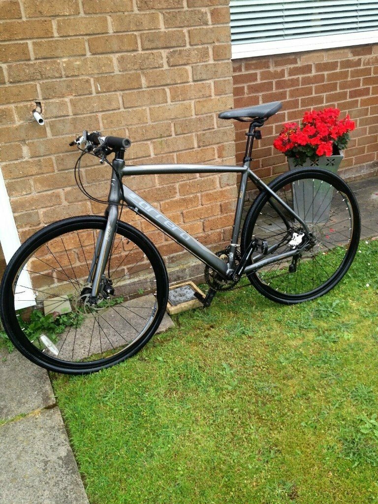 carrera gryphon 2018